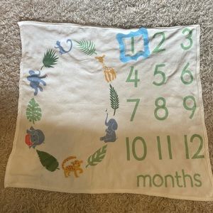 Baby Blanket Month Picture